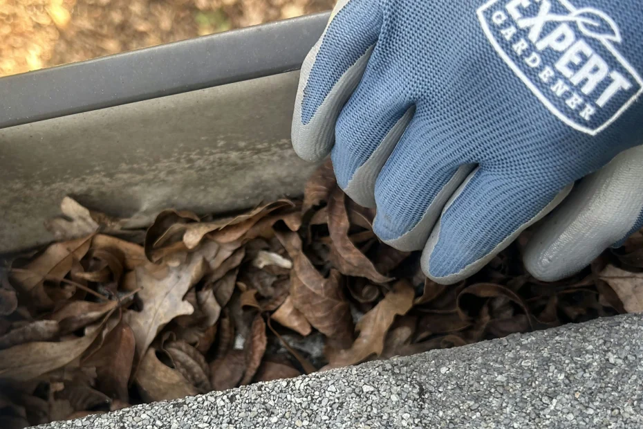 Tarrington Gutter Cleaning
