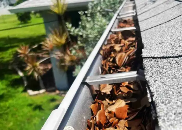 Gutter Cleaning Tarrington home page